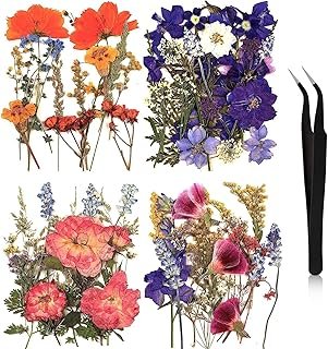 Nuanchu Pressed Flowers Bulk Dried Flower for Crafts, Dried Wildflowers ...
