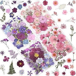 100 Pcs Dried Pressed Flowers for Crafts, Preserved & Dehydrated in Pink...
