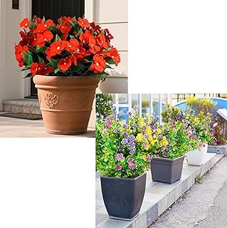 12 Mix Flower+6 Impatiens