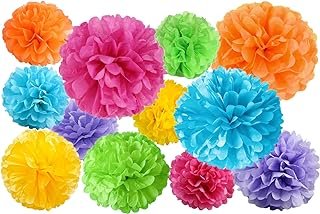 12 Pcs Paper Pom Poms Kit, Tissue Paper Flowers for Birthday, Party, Fie...