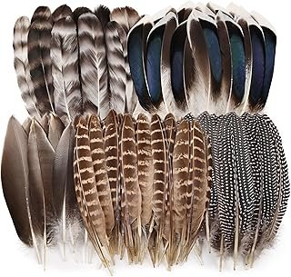 iHUFeather 40pcs Natural Pheasant Feathers Bulk Spotted Feathers 5 Style...