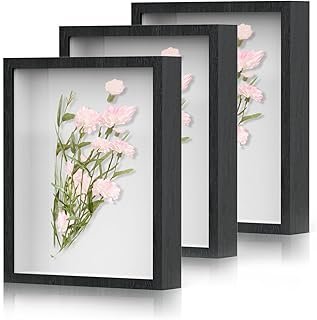 Shadow Box Frame 8x10 - 3 Pack Wood Deep Shadowbox with Glass Shadow Box...