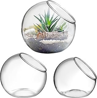 Mipcase 3 Pcs Plant Terrarium Plant Holder Terrarium Air Plant, 3 Round ...