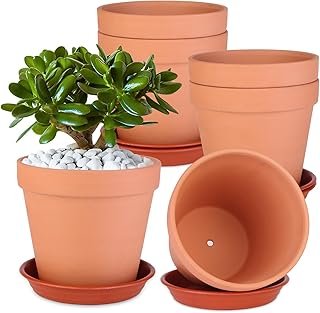 6 Pack 6 Inch Terracotta & Clay Pots with Saucer for Plants, Large Terra...