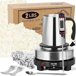 SAEUYVB Candle Making Kit with Wax Melter, Candle Wax for Candle Making ...