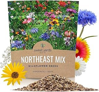 Northeast Wildflower Seeds - Extra Large 1 Ounce Packet - Over 7,500 Nat...