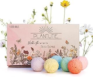 Wildflower Seed Bomb Gift Box – 6 Colorful Hand Rolled Seed Balls for Ea...
