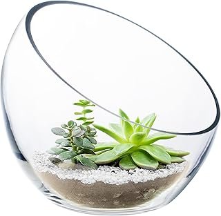 CYS EXCEL Glass Slant Cut Bubble Bowl (H-6