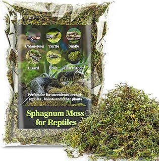 Sukh Sphagnum Moss for Reptiles - Terrarium Reptiles Moss Green Dried Pe...
