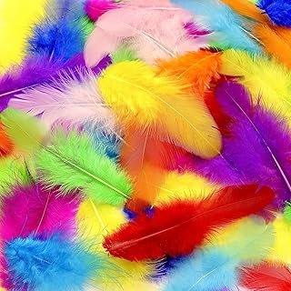 800Pcs Colorful Craft Rooster Feathers 3-5-inch Bulk Feathers for Crafti...