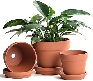 INGOFIN Terracotta Pots Set with Saucer - 5/6/7 inch Ceramic Clay Plante...