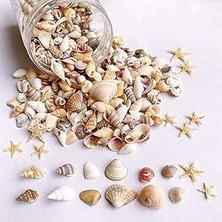 1200 PCS Tiny Sea Shells &10 Small Starfish - Mixed Ocean Beach Spiral S...