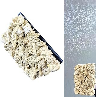 Natural Sea Sponge Daubers for Wall Texture Painting - Reusable Texturin...