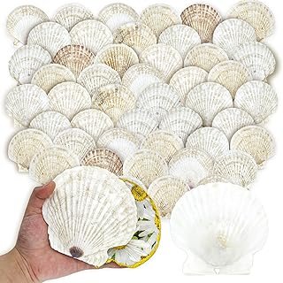 stonechic 50PCS Scallop Shells for Crafts Large 4''-5'' White Beach Natu...